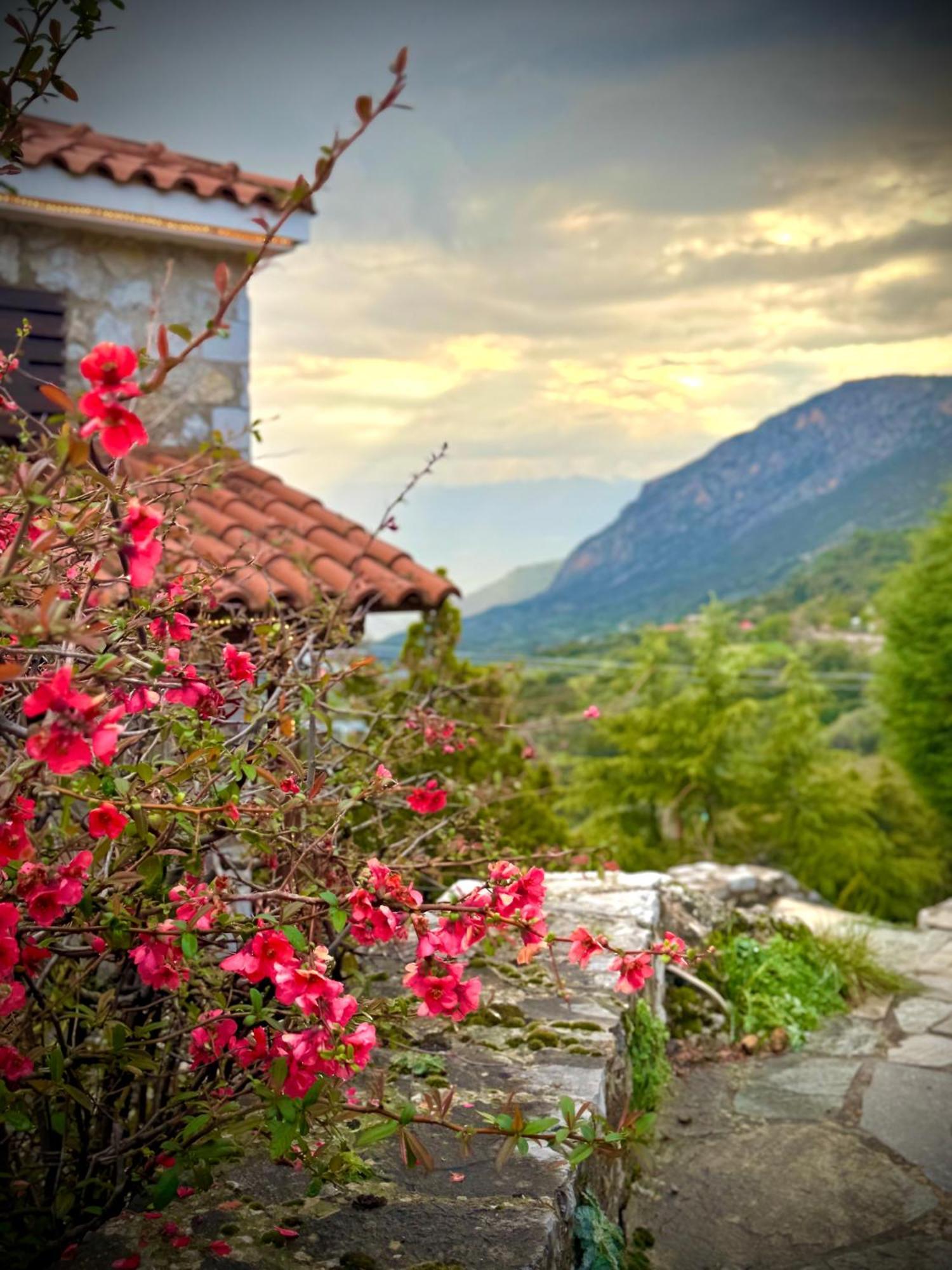 Rock Dandy Deluxe Chalet In Arachova - Delphi, Sauna, Prv Parking, Amazing View Bagian luar foto